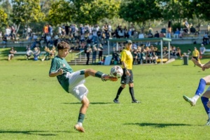 Picture1