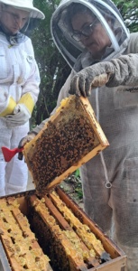 649334395 1550503400417033 9204900472223885530 N