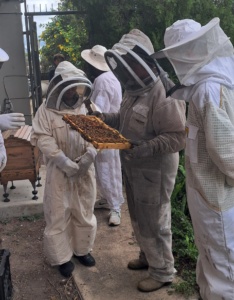 650201559 1550503280417045 2157162857992826967 N